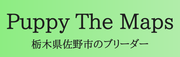 栃木県佐野市のブリーダー「Puppy The Maps」